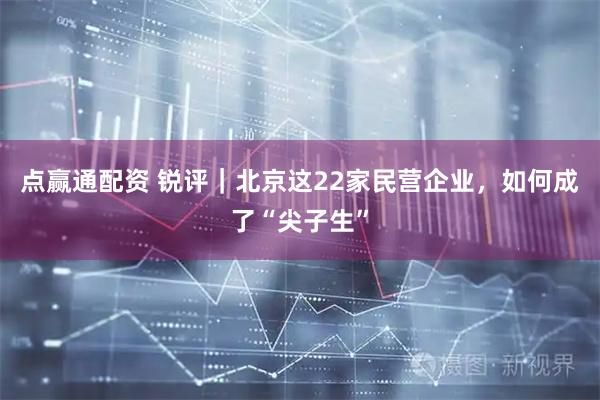 点赢通配资 锐评｜北京这22家民营企业，如何成了“尖子生”