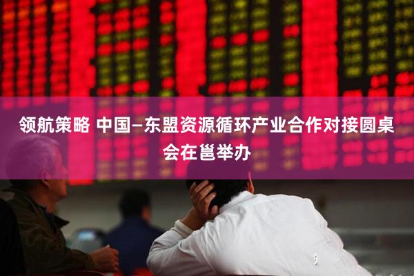 领航策略 中国—东盟资源循环产业合作对接圆桌会在邕举办