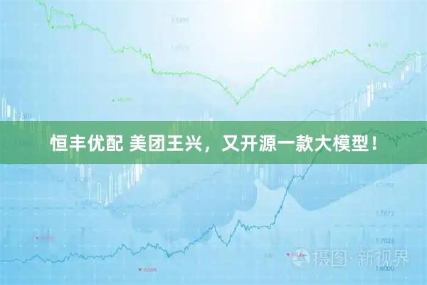 恒丰优配 美团王兴，又开源一款大模型！